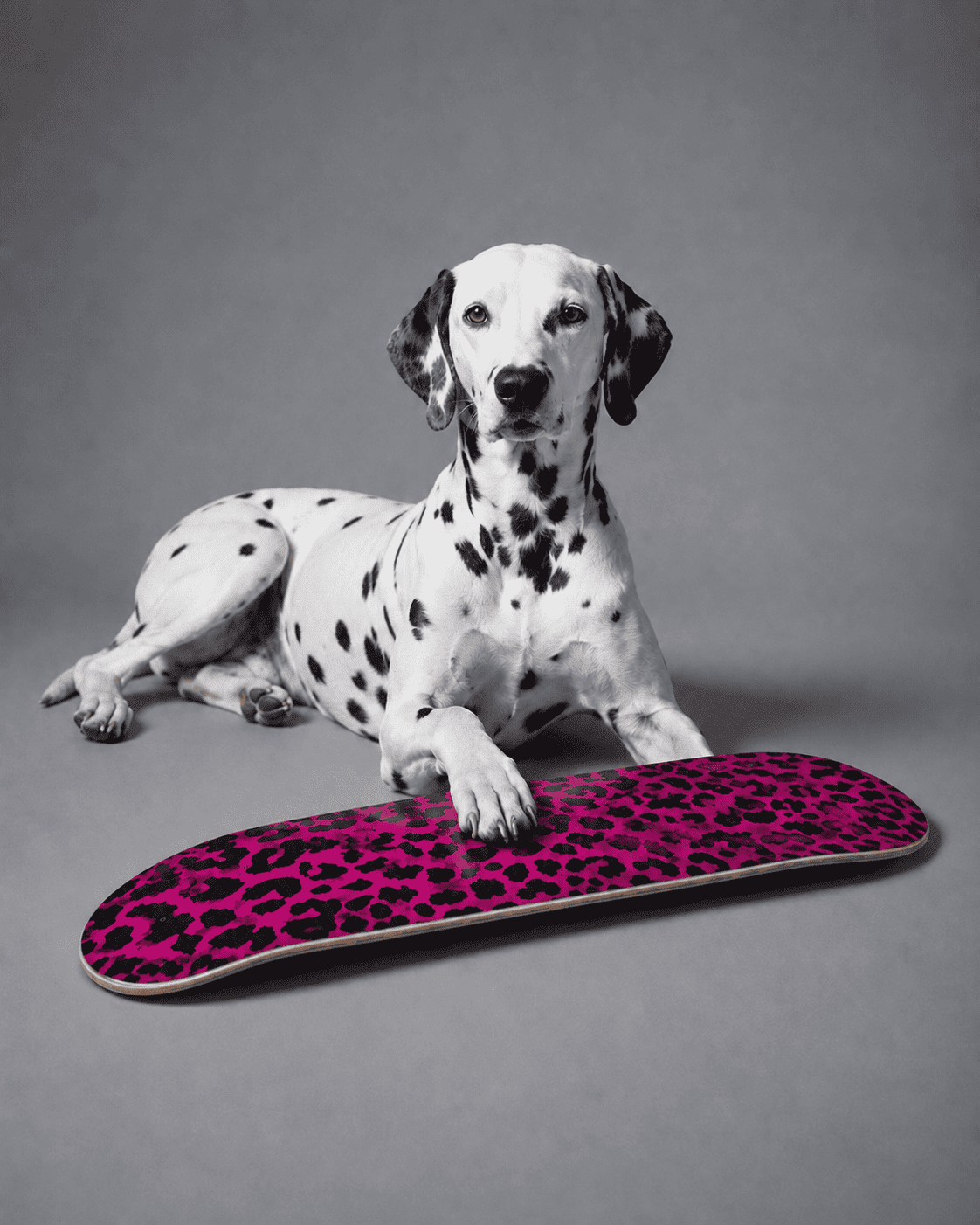 Building a Themed Skateboard Wall Art Collection: A Practical Guide