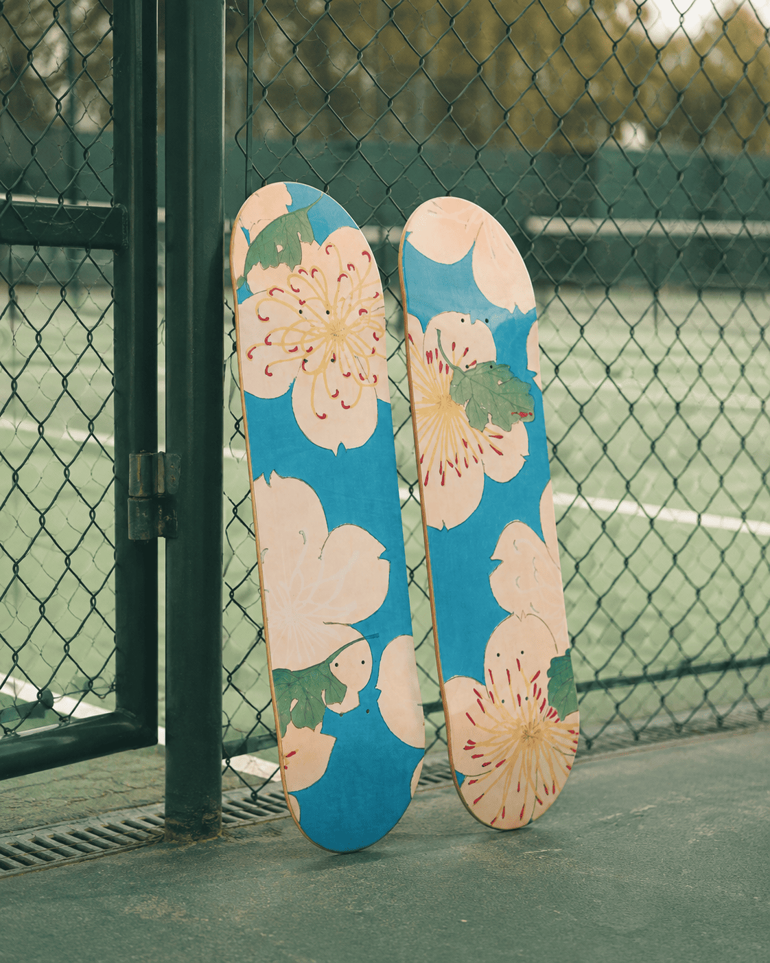 Skateboard Wall Art for Coworking Spaces and Startup Offices