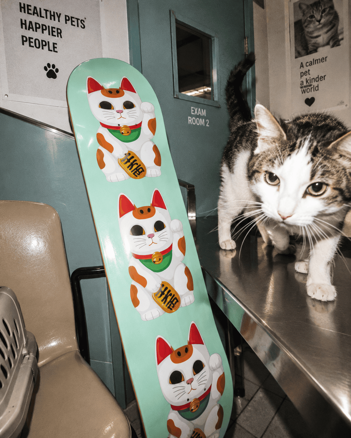 Maneki Neko Lucky Cat skateboard deck in mint green, standing near a real cat in a veterinary clinic exam room