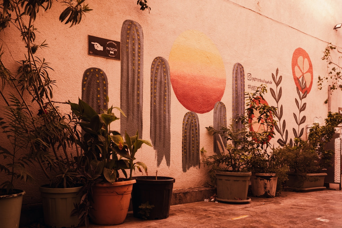a group of potted plants