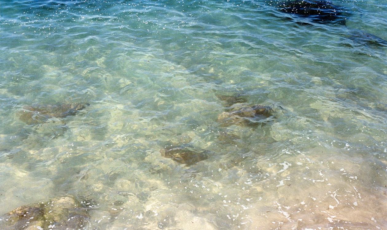 Soft coral sea water and shore — evoking Botticelli Birth of Venus palette of ivory, coral and sea-green