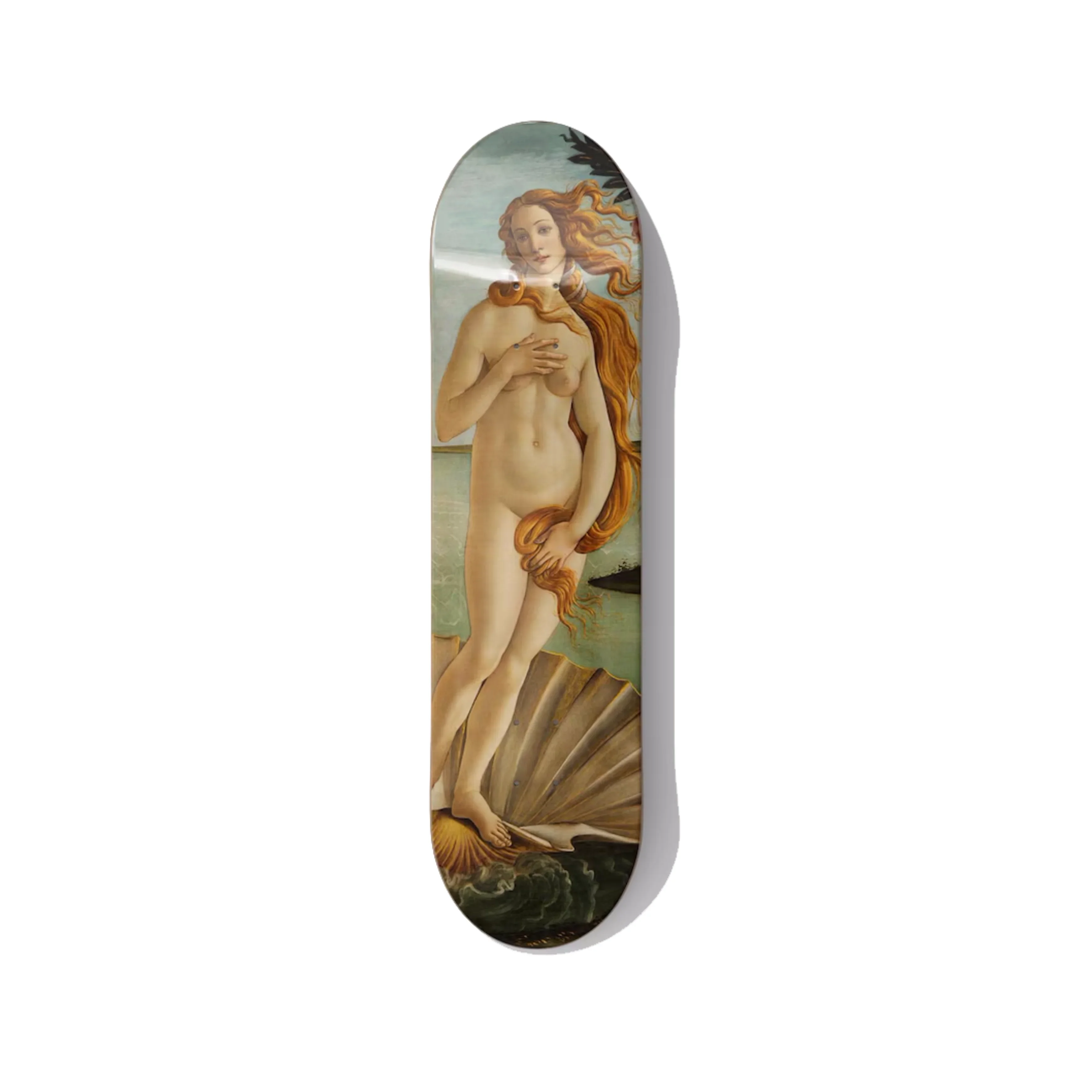 Botticelli's Birth of Venus Skateboard Wall Art - Premium Canadian Maple Deck.