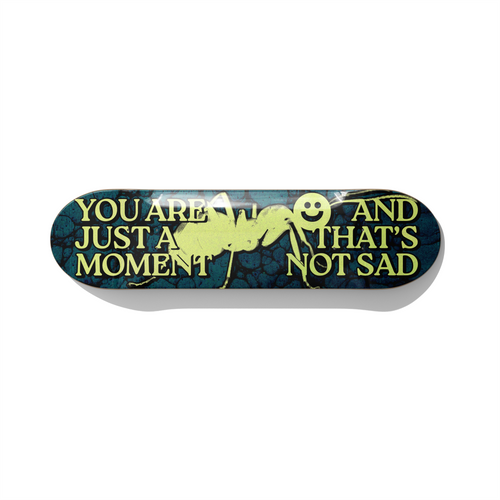 Skateboard Wall Art – GOOD NEWS / Yehor Bread